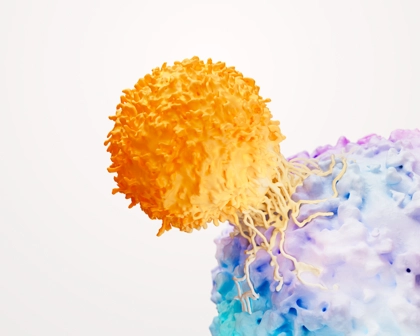 T-cell and cancer tumour science