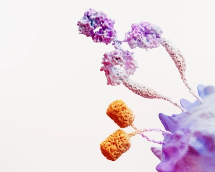 Immuno Oncology Science Image Rgb