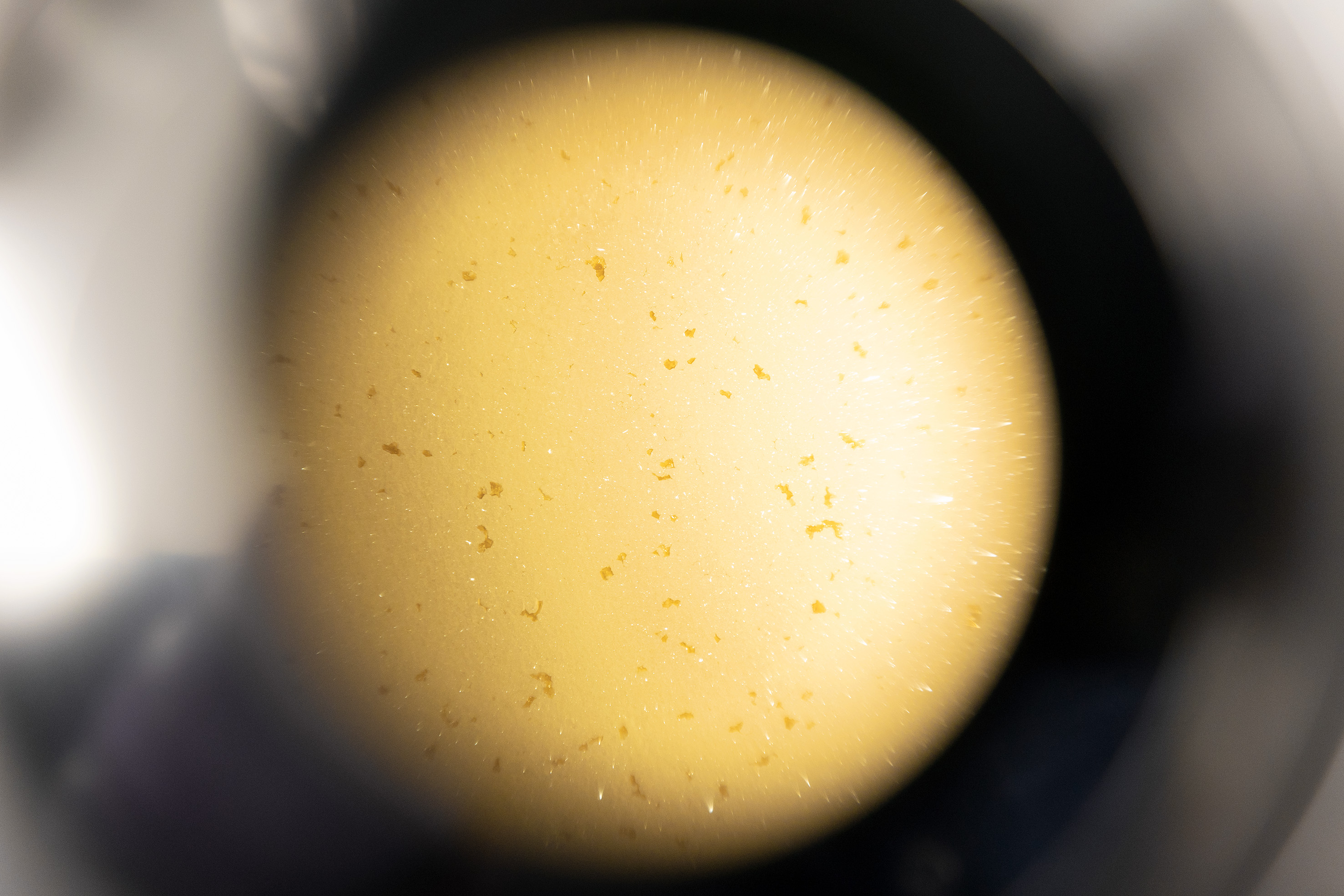 UM_10_2022_MANUF_012_HESS_JPG